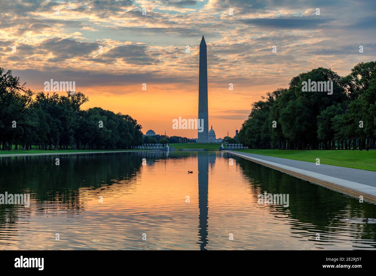 Monumento a Washington al amanecer en Washington DC, Estados Unidos Foto de stock