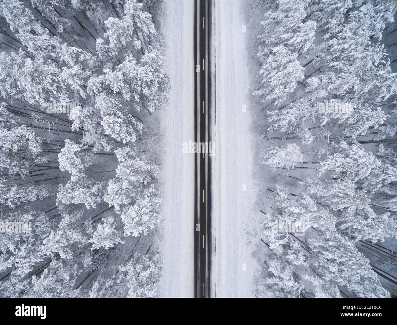 Bosque nevado de coníferas de invierno con un camino de asfalto negro. Fotografía de la naturaleza. Vista panorámica desde la cima desde una vista de pájaro Foto de stock