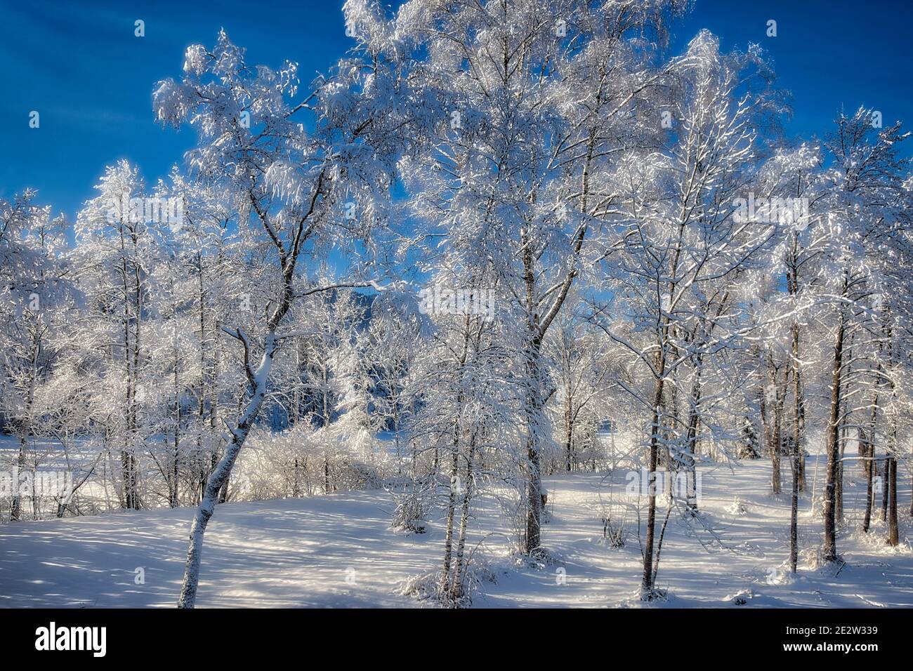 DE - BAVIERA: Escena de invierno soleado cerca de Bad Toelz en el valle del Isar Foto de stock