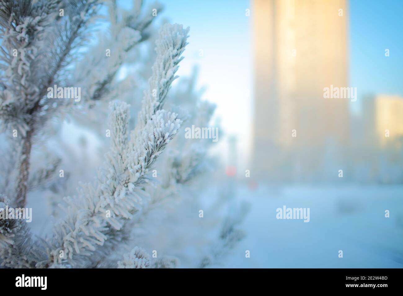 Paisaje urbano invernal con árbol congelado. Foto de stock