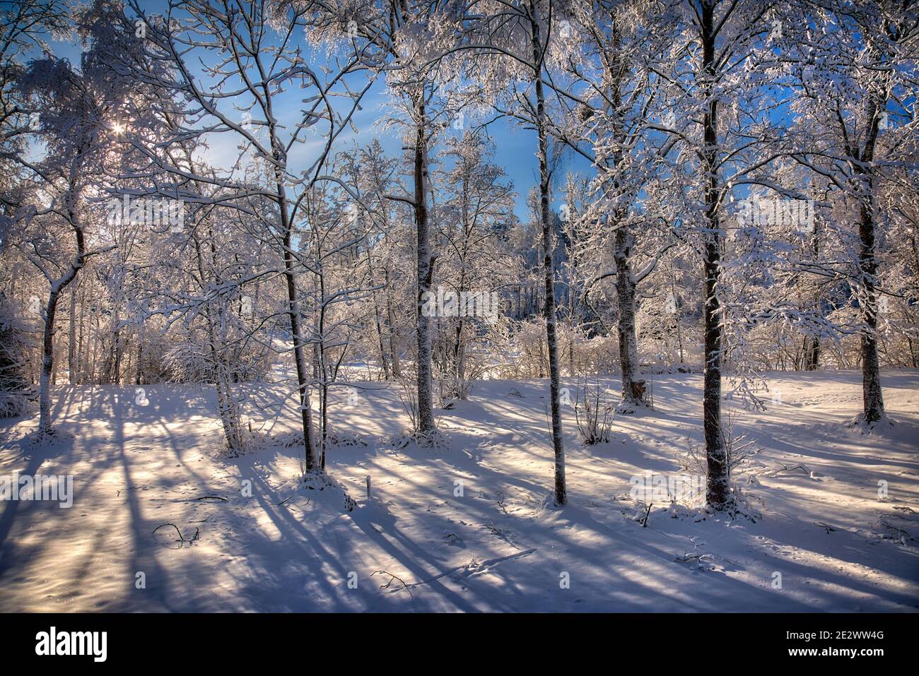 DE - BAVIERA: Escena de invierno soleado cerca de Bad Toelz en el valle del Isar Foto de stock