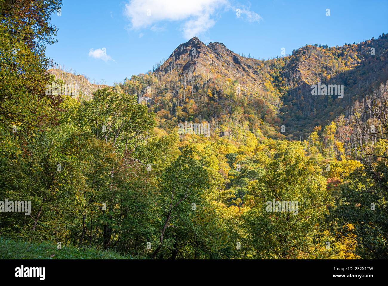 Puesta de sol de otoño en el Parque Nacional Great Smoky Mountains a lo largo de la US 441 cerca de Gatlinburg, Tennessee. (EE.UU.) Foto de stock