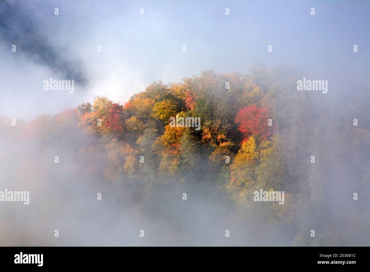 NC00188-00...CAROLINA DEL NORTE - Color de otoño y niebla creciente vista desde Webb a lo largo de la nueva Gap Road en el Parque Nacional Great Smoky Mountains. Foto de stock