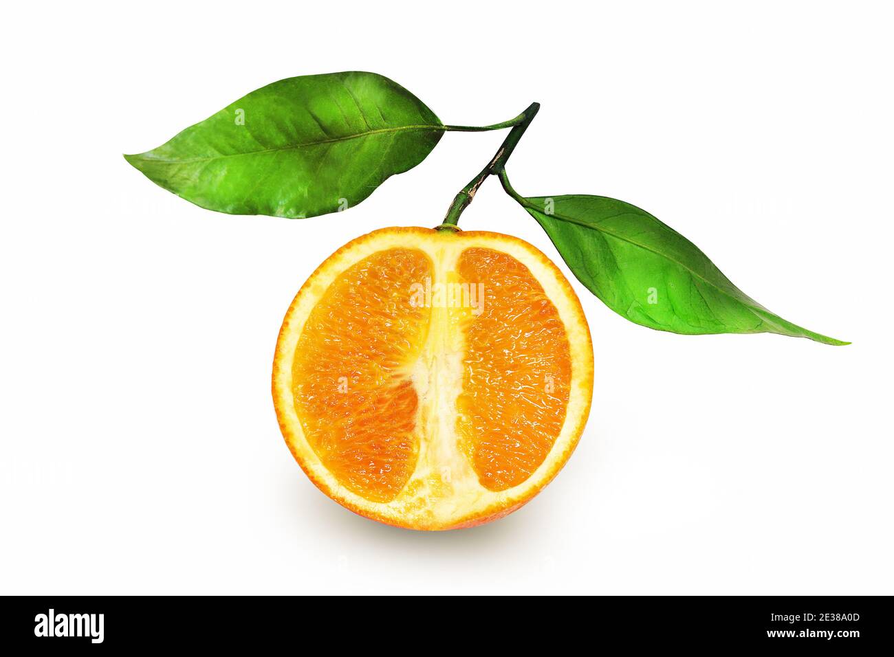 Foto macro de una hermosa naranja en una sección sobre un fondo blanco. Ejemplo de una naranja para la publicidad del jugo o el diseño del Web site del café Foto de stock