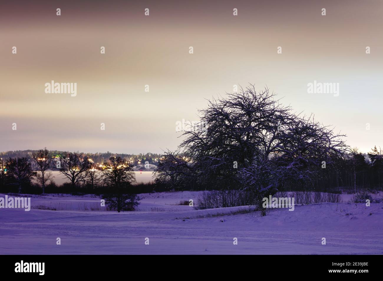 Los árboles en Askrike Golf Club fuera de Vaxholm durante un invierno Tarde en Suecia Foto de stock