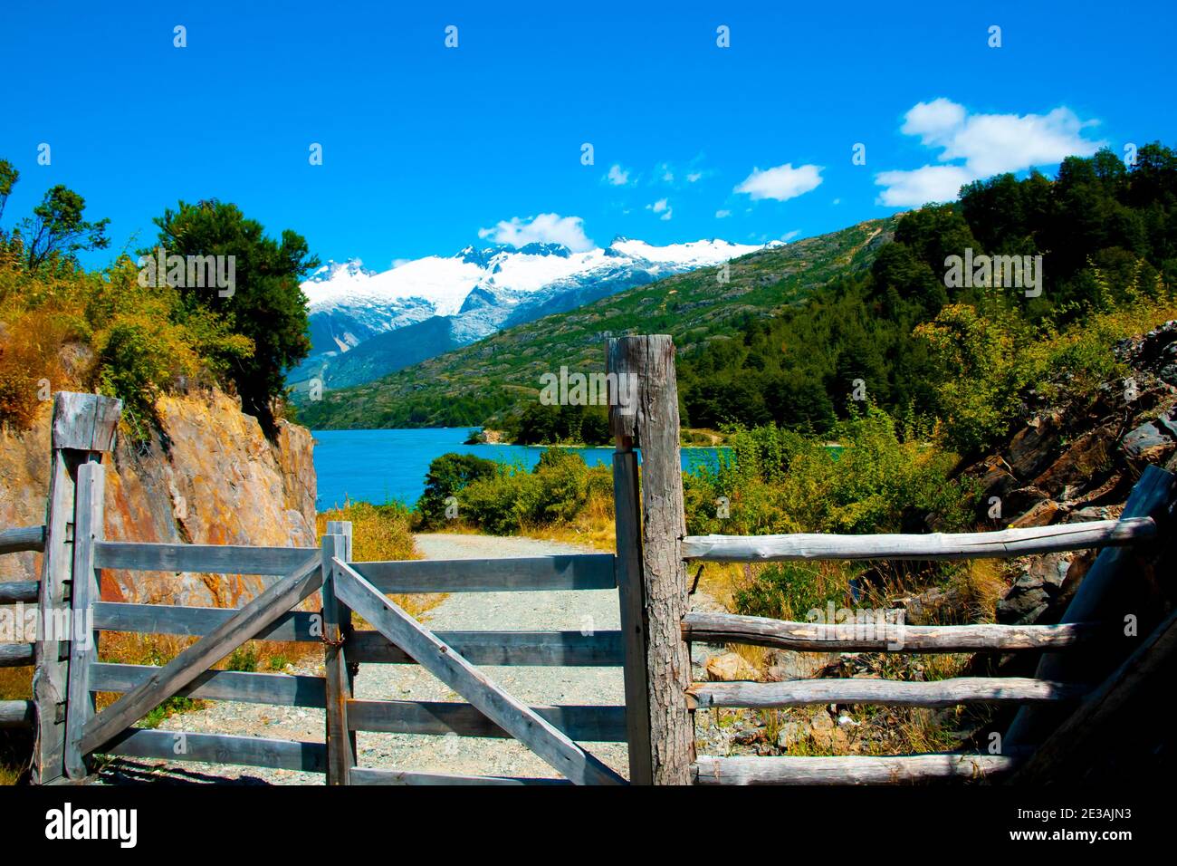 Puertas de pastos en los Andes de la Patagonia Foto de stock