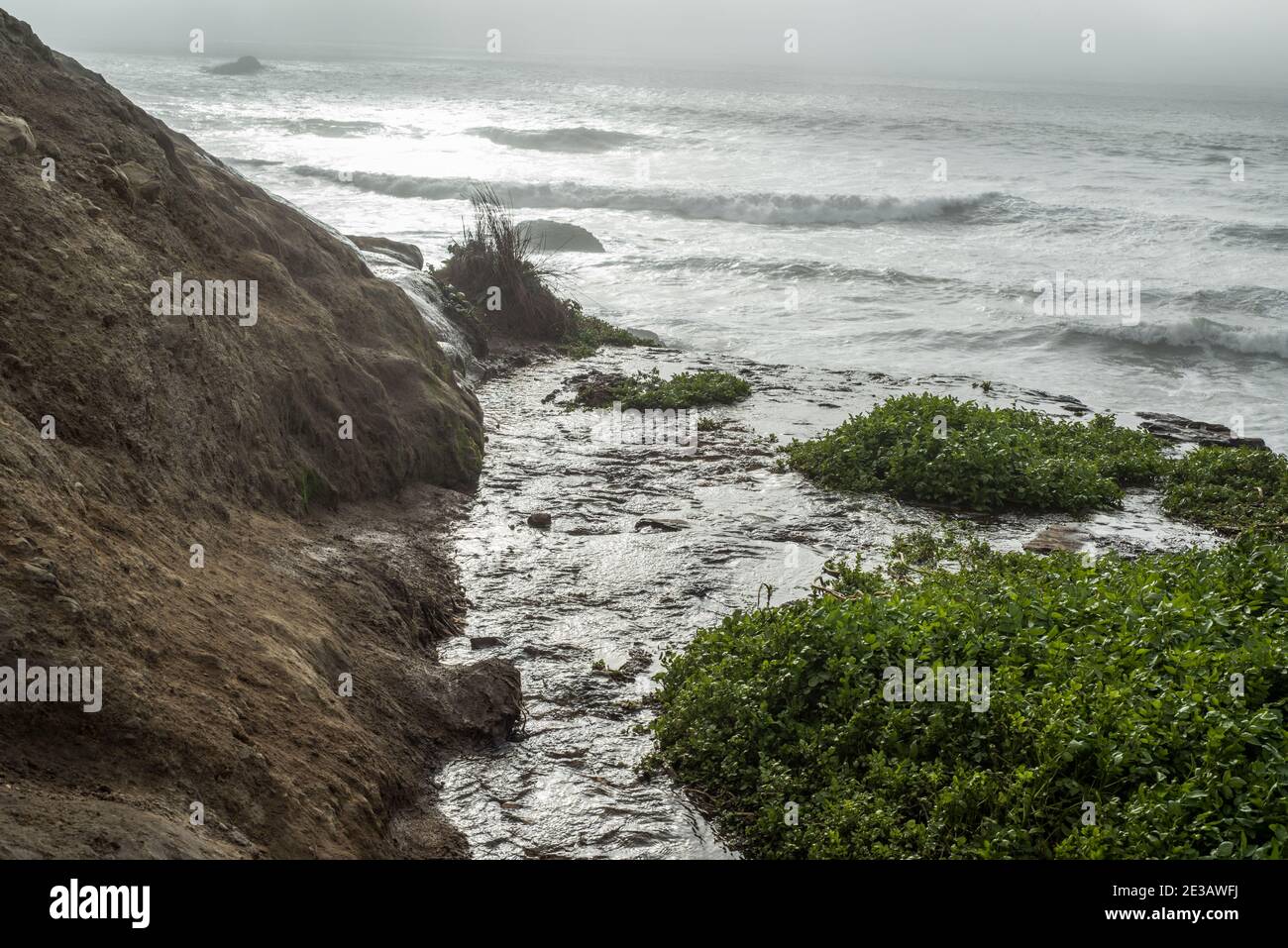 La parte superior de Alamere cae, una rara cascada de tidefall, que cae de los acantilados al océano Pacífico en Point Reyes Seashore en CA. Foto de stock