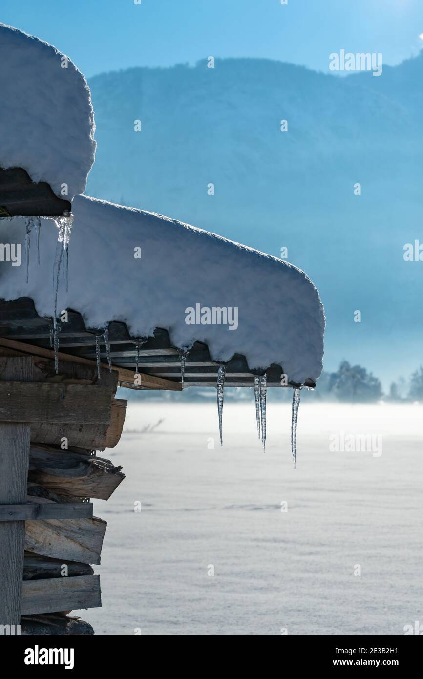 Holzstapel mit verschneitem Dach und Eiszapfen daran. Pila de leña con un techo cubierto de nieve y hielo en ella. Paisaje a la luz de la mañana Foto de stock