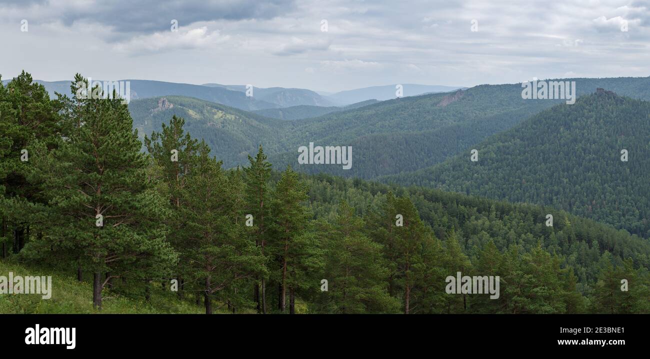 Panorama de la taiga siberiana en verano cerca de Krasnoyarsk, Rusia Foto de stock