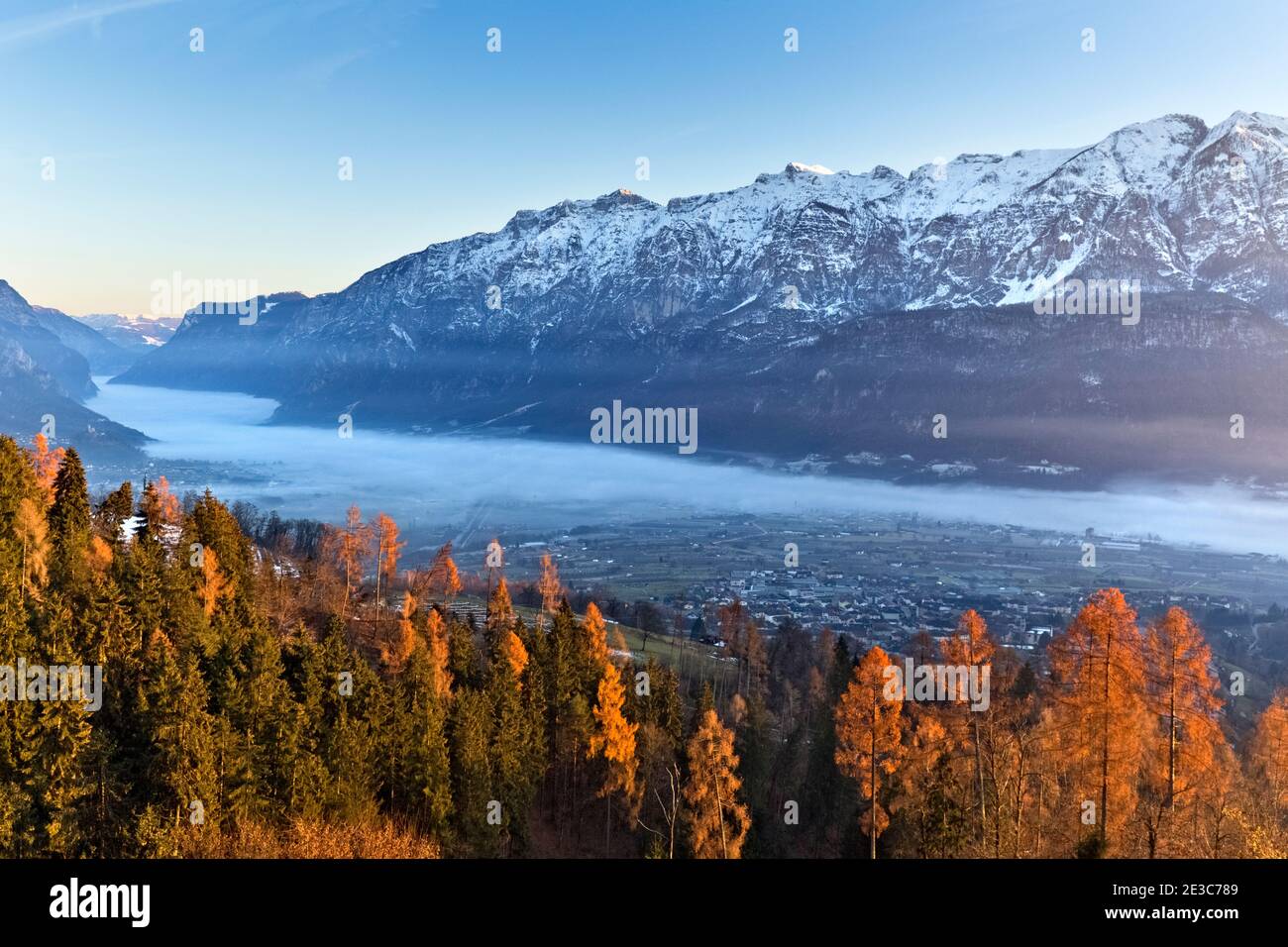 El bosque de Telve y la Valsugana. Trento, Trentino Alto-Adige, Italia, Europa. Foto de stock