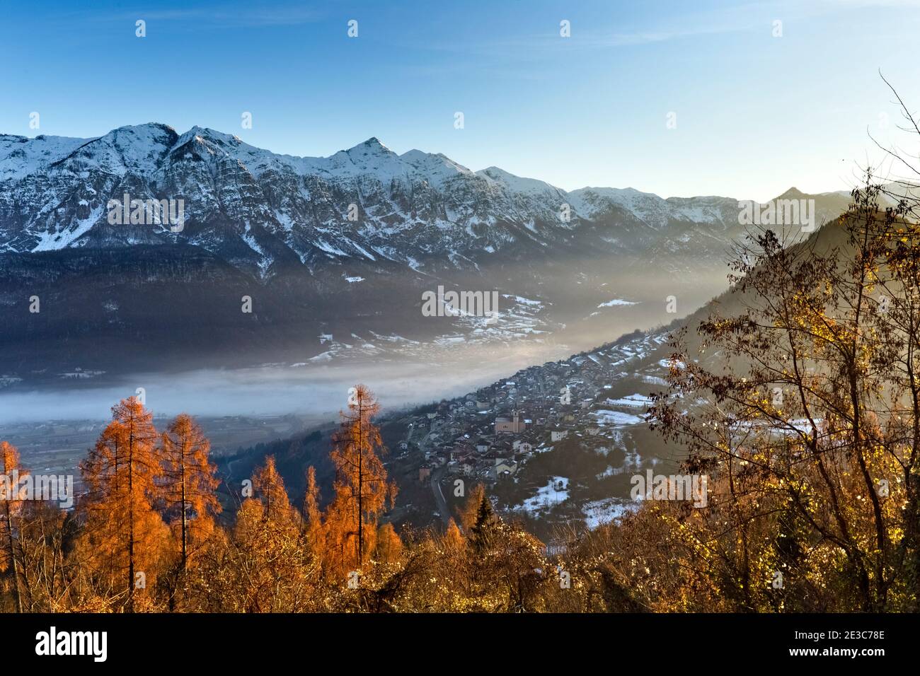 El bosque de Telve y la Valsugana. Trento, Trentino Alto-Adige, Italia, Europa. Foto de stock