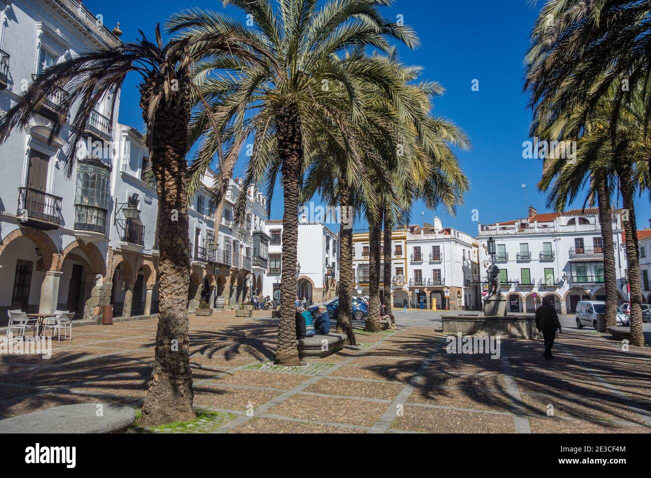 Apertura de ruy lopez fotografías e imágenes de alta resolución - Alamy