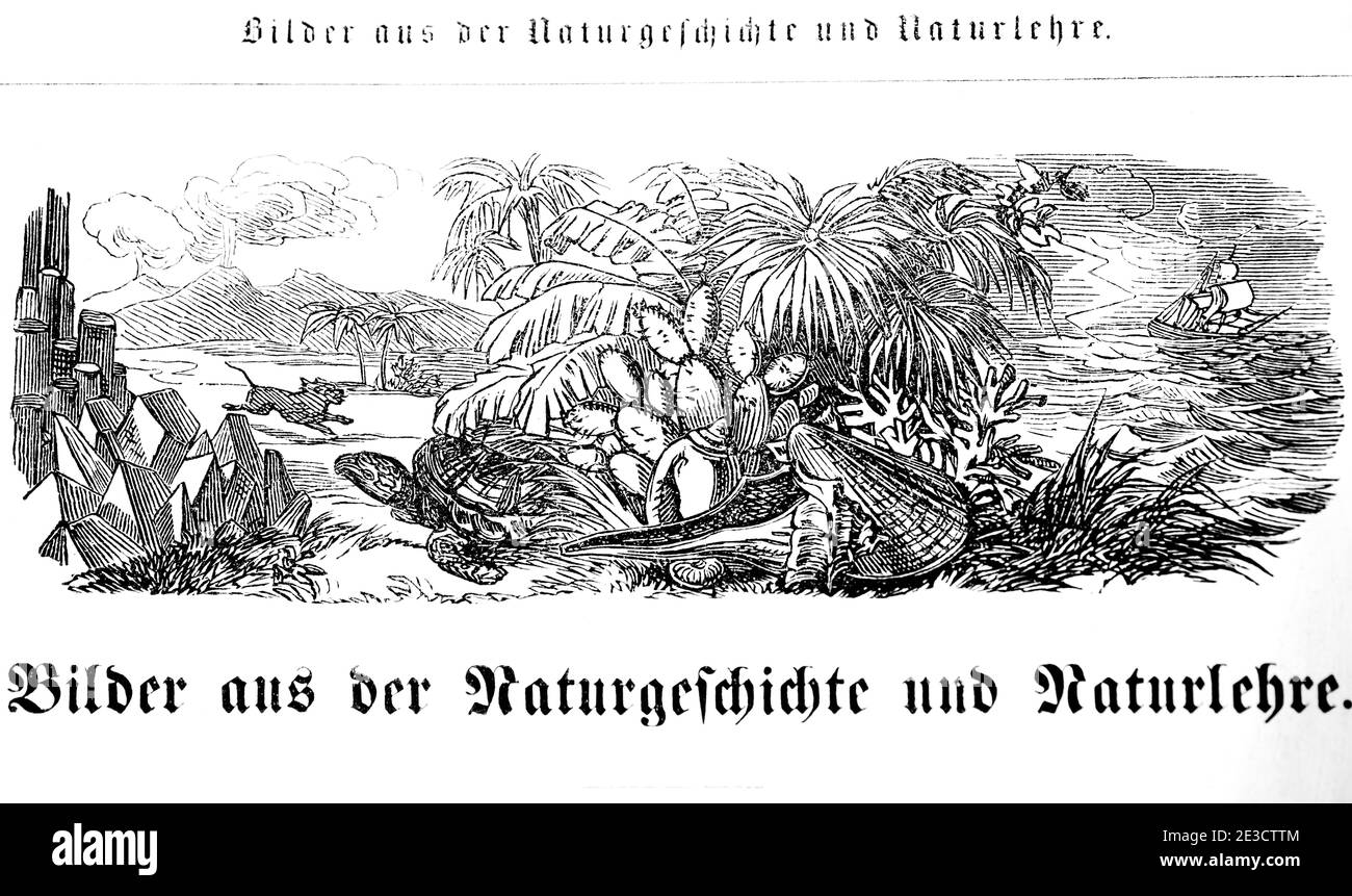 Calendario Suizo con información sobre plantas venenosas y sus motivos correspondientes, indroducing título imagen, San Gallen Suiza 1853 Foto de stock