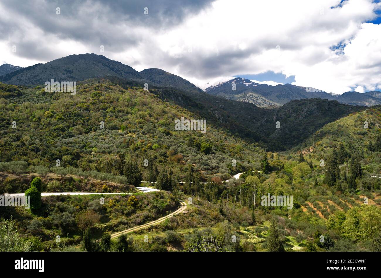 Moody paisaje rural de olivares, un sinuoso camino rural, y las colinas en Creta, Grecia Foto de stock