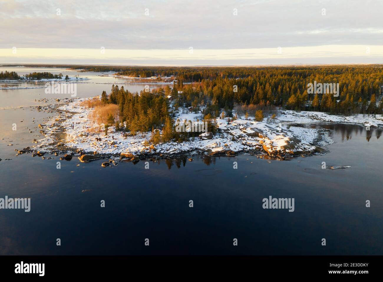 Vista panorámica aérea de la puesta de sol de invierno escénica Reflexiones desde el Mar de Iced a la pequeña península de piedra Kont, Umea, Suecia. Invierno árbol de pino escandinavo para Foto de stock