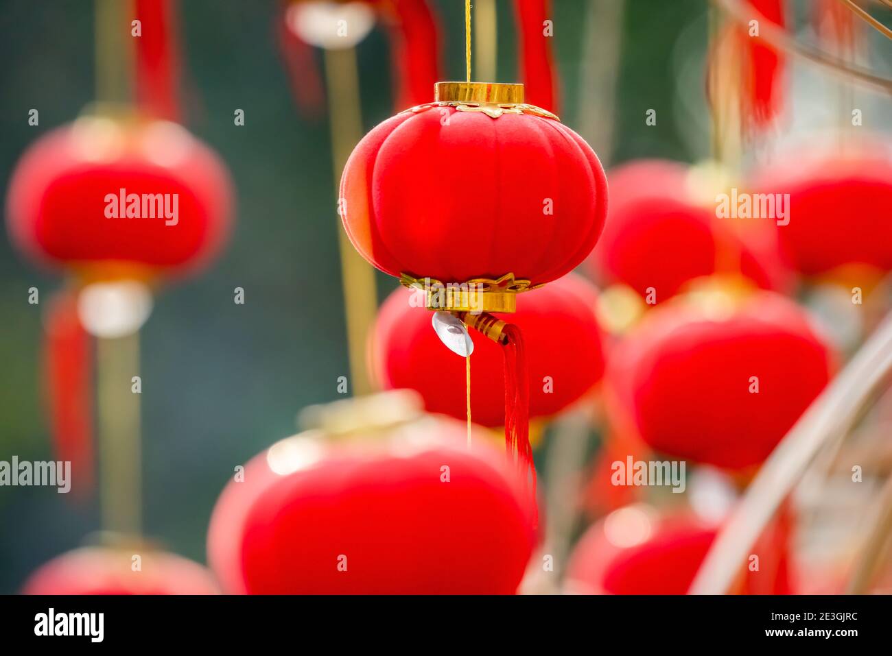 Linterna china roja colgando para el año nuevo chino en Chengdu, provincia de Sichuan, China Foto de stock