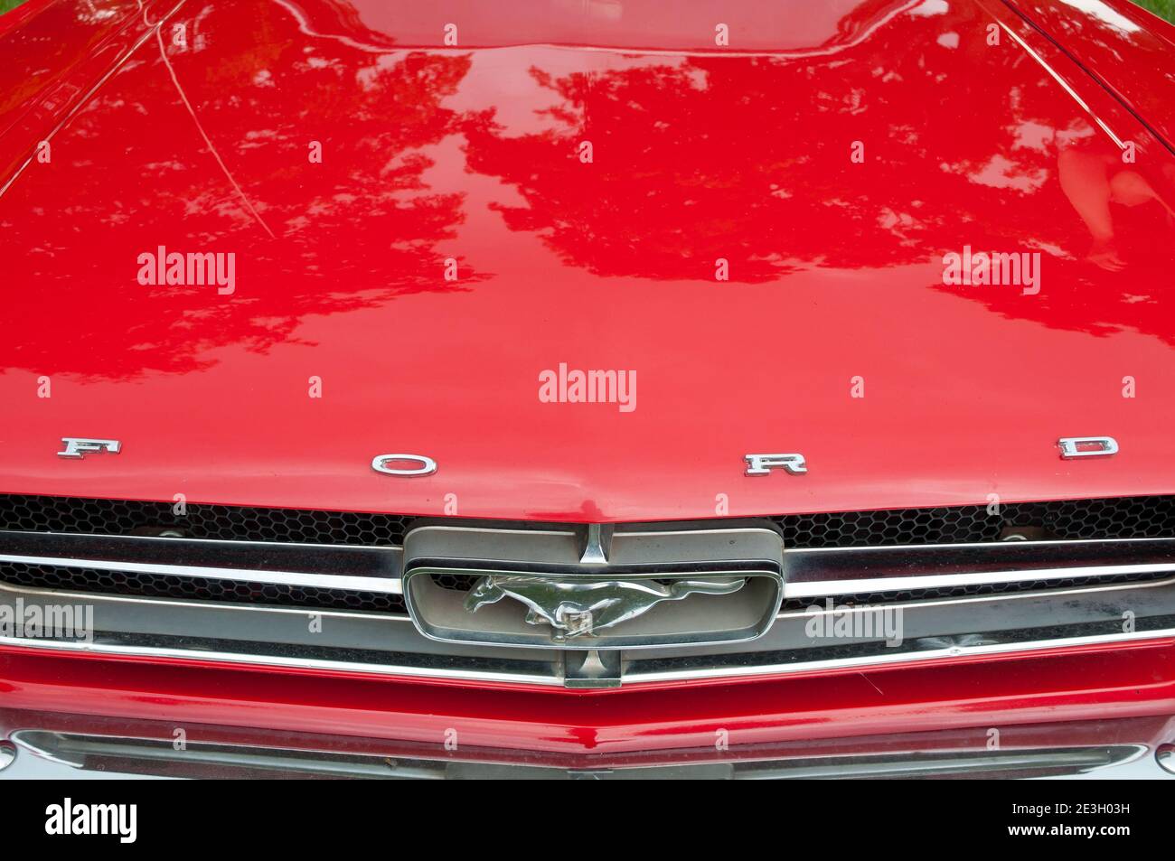 Emblema de ford Mustang Foto de stock