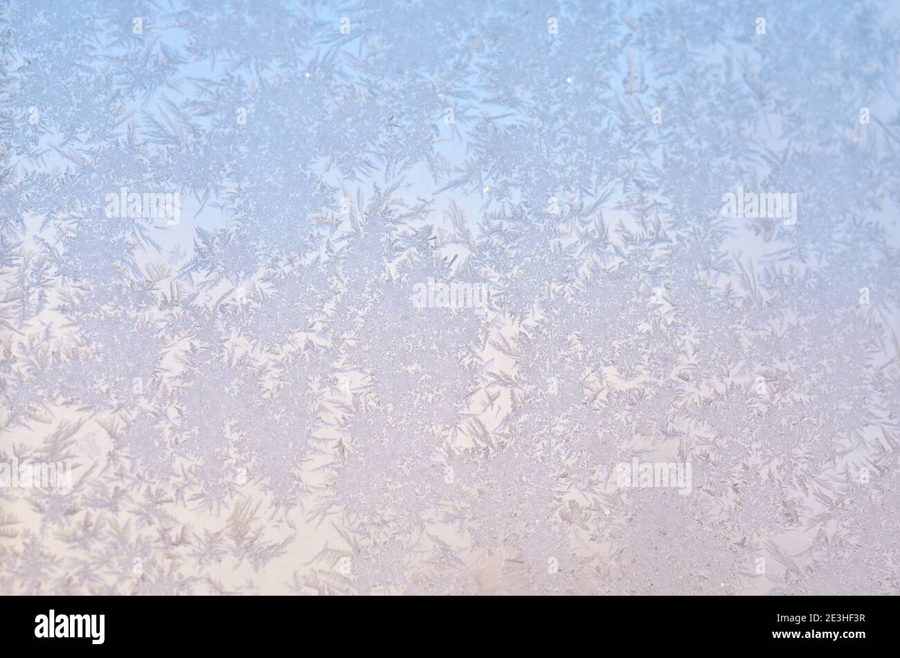 Hielo de invierno helada en el cristal como un azul claro antecedentes Foto de stock