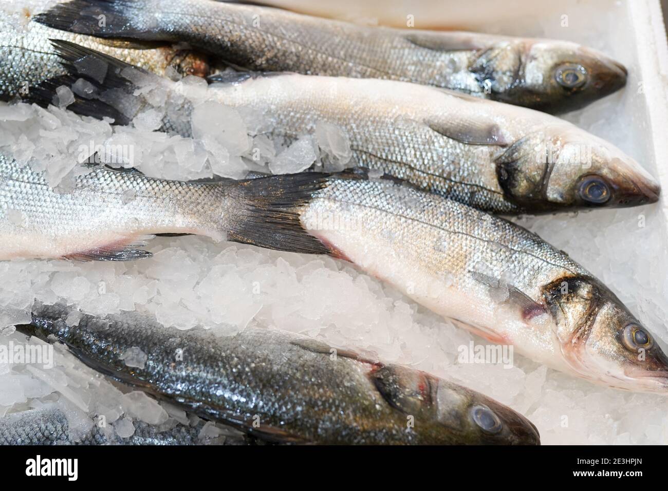 Pesca de pescado congelado en el estante del supermercado