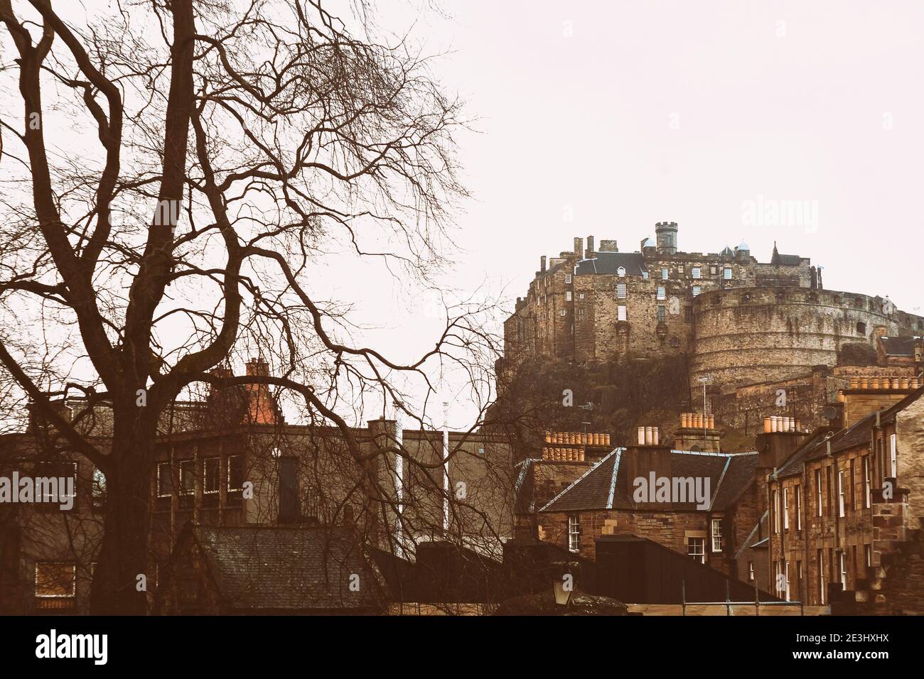 Vista del castillo de Edimburgo desde abajo con un gran árbol negro la izquierda y los edificios en primer plano Foto de stock