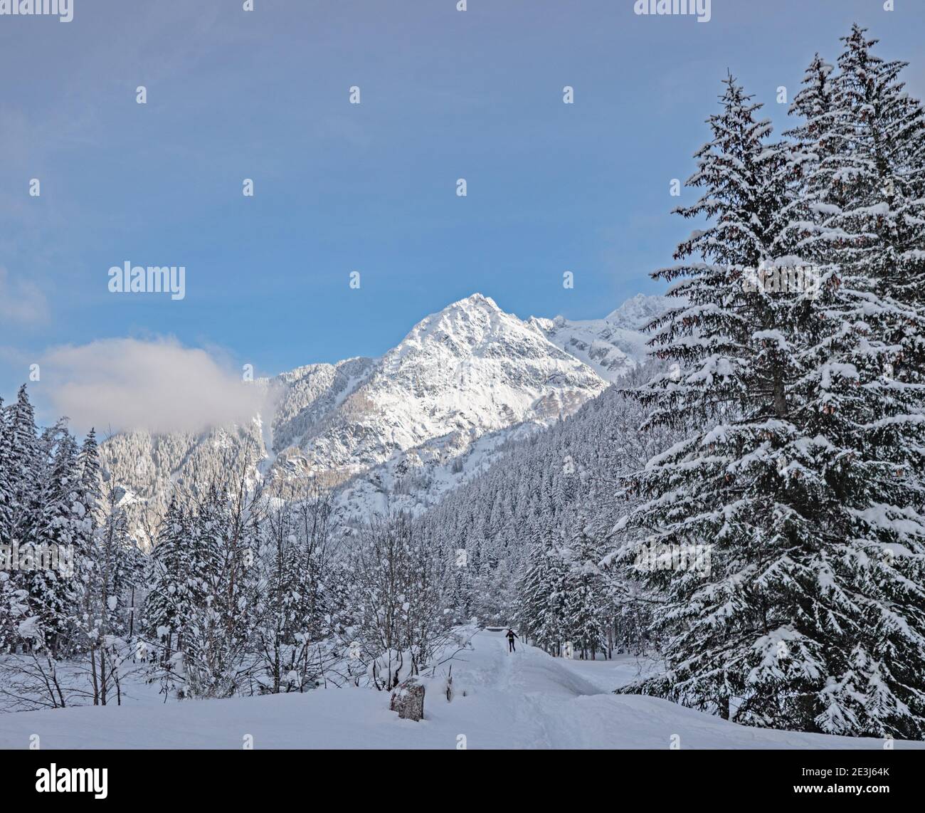 La nieve cubre las montañas y la tress de Chamonix en Francia. Un esquiador de campo a través recorre un camino a través de la nieve profunda en el bosque en un perfecto Foto de stock