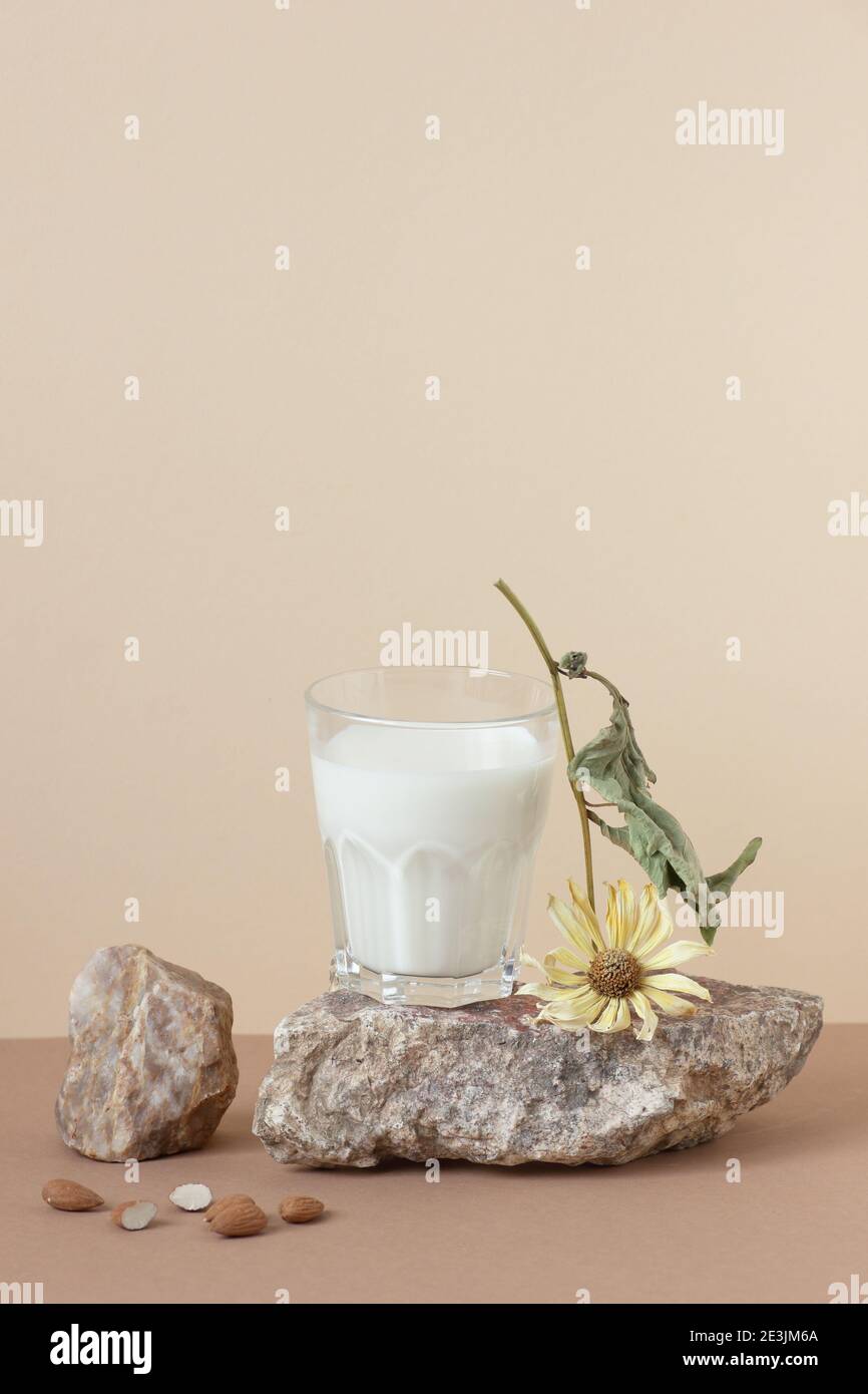 Leche de almendra vegetal vegana, composición minimalista con piedra de  material natural, un vaso con leche, girasol seco y almendra, espacio de  copia, resumen Fotografía de stock - Alamy