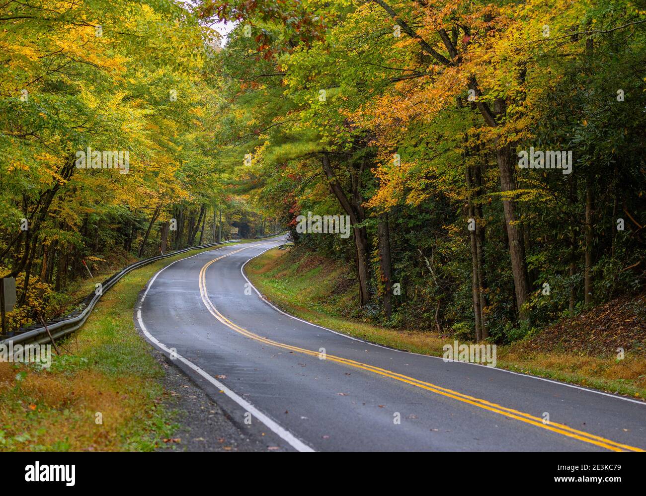 Los árboles de otoño bordean ambos lados de la carretera que serpentea por las montañas Apalaches de Virginia. Foto de stock