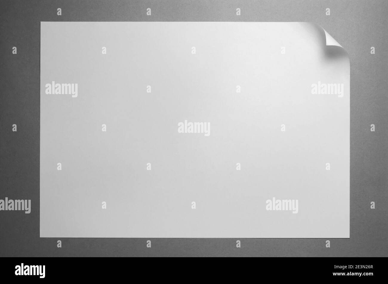 Hoja en blanco de papel blanco con ondulación sobre fondo gris con
