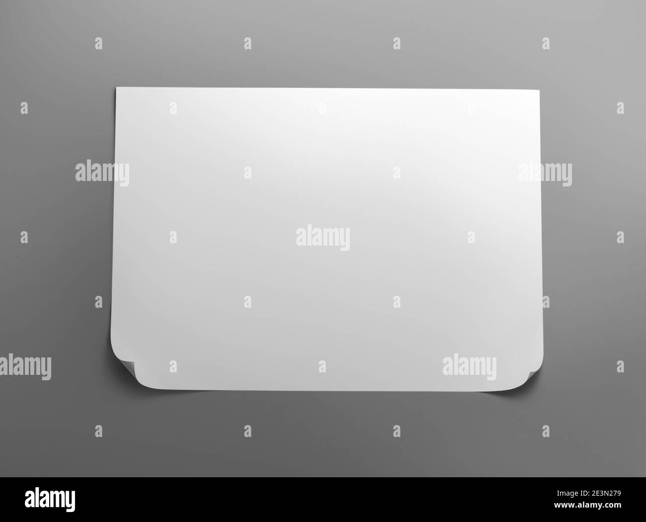 Hoja en blanco de papel blanco con ondulación sobre fondo gris con