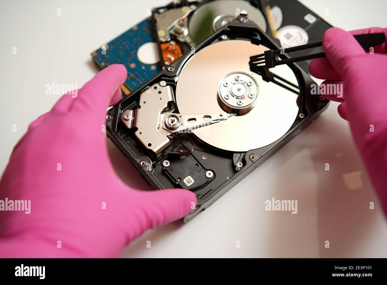 Master en guantes rosas limpiar el disco duro Limpieza segura y  verificación de sus datos electrónicos en los medios. Concepto Fotografía  de stock - Alamy