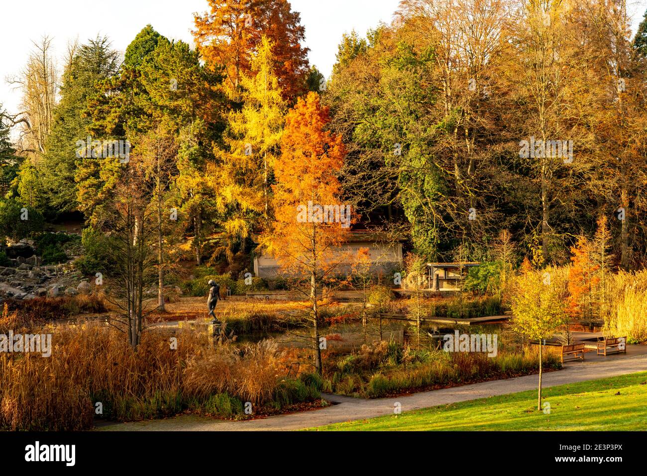 El Grugapark, Essen, Jardín Botánico, parque para el ocio y la recreación, en el Waldsee, obras de arte Big Bathers, otoño, Essen, NRW, Alemania, Foto de stock