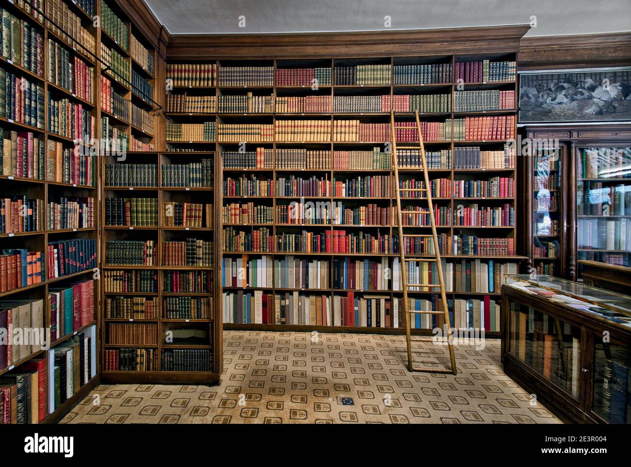 La puerta secreta de la librería conduce a la escalera trasera en Auguste Blaizot Antiquarian Bookshop en París, Francia. Foto de stock