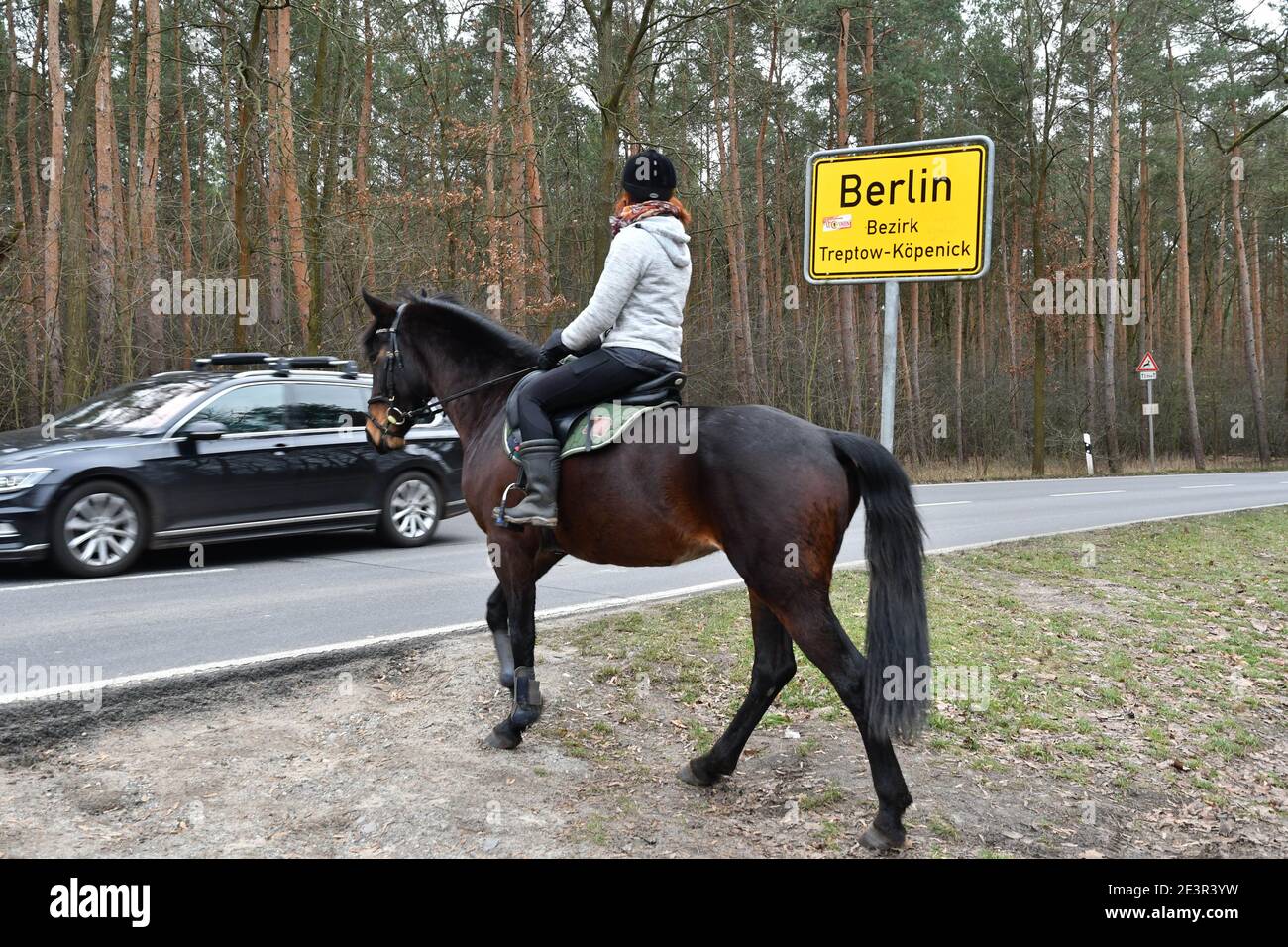 27 de diciembre de 2020, Brandeburgo, Hoppegarten: En la frontera estatal entre Berlín y Brandeburgo, un jinete y su caballo cruzan la Dahlwitzer Landstrasse entre Koepenick y Waldesruh el 27 de diciembre de 2020. Foto: Thomas Uhlemann/dpa-Zentralbild/ZB Foto de stock
