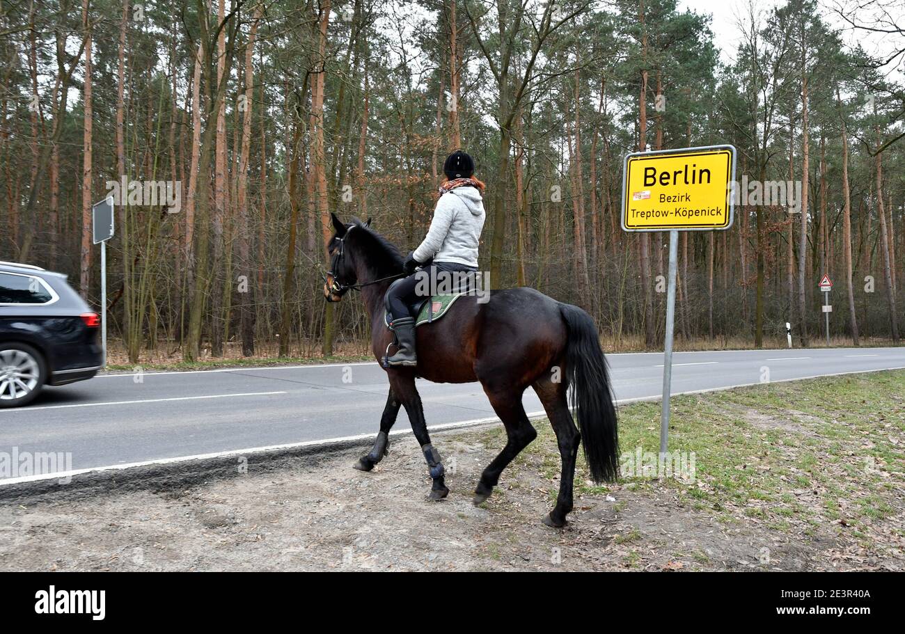27 de diciembre de 2020, Brandeburgo, Hoppegarten: En la frontera estatal entre Berlín y Brandeburgo, un jinete y su caballo cruzan la Dahlwitzer Landstrasse entre Koepenick y Waldesruh el 27 de diciembre de 2020. Foto: Thomas Uhlemann/dpa-Zentralbild/ZB Foto de stock