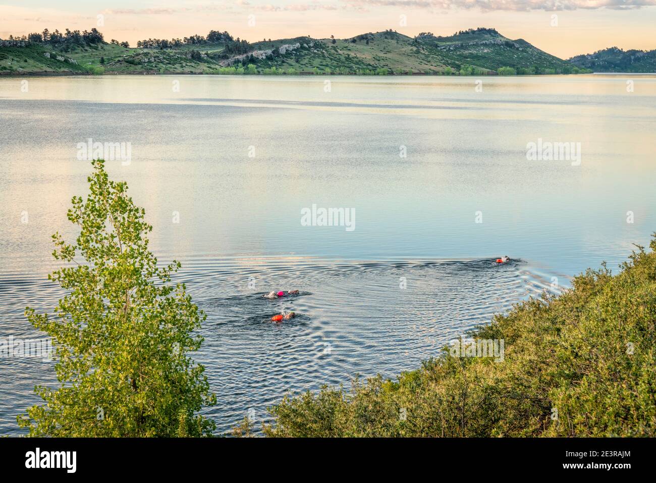 nadadores de agua abierta con boya en un lago tranquilo, entrenamiento de verano por la mañana Foto de stock