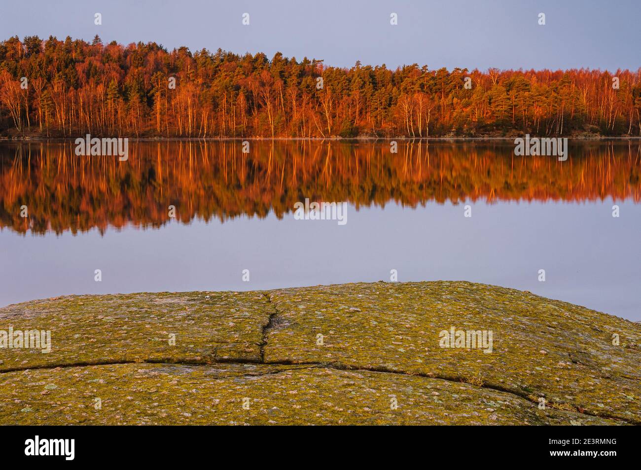 Reflexiones del bosque en el agua quieta, Suecia. Foto de stock