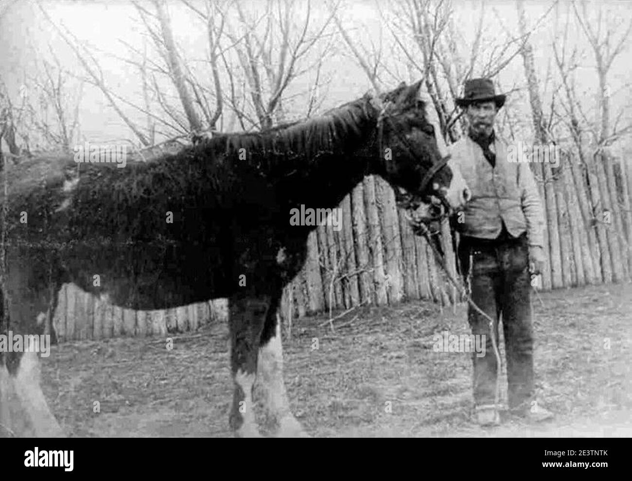 Malacara caballo y John Daniel Evans (1906) retoued. Foto de stock