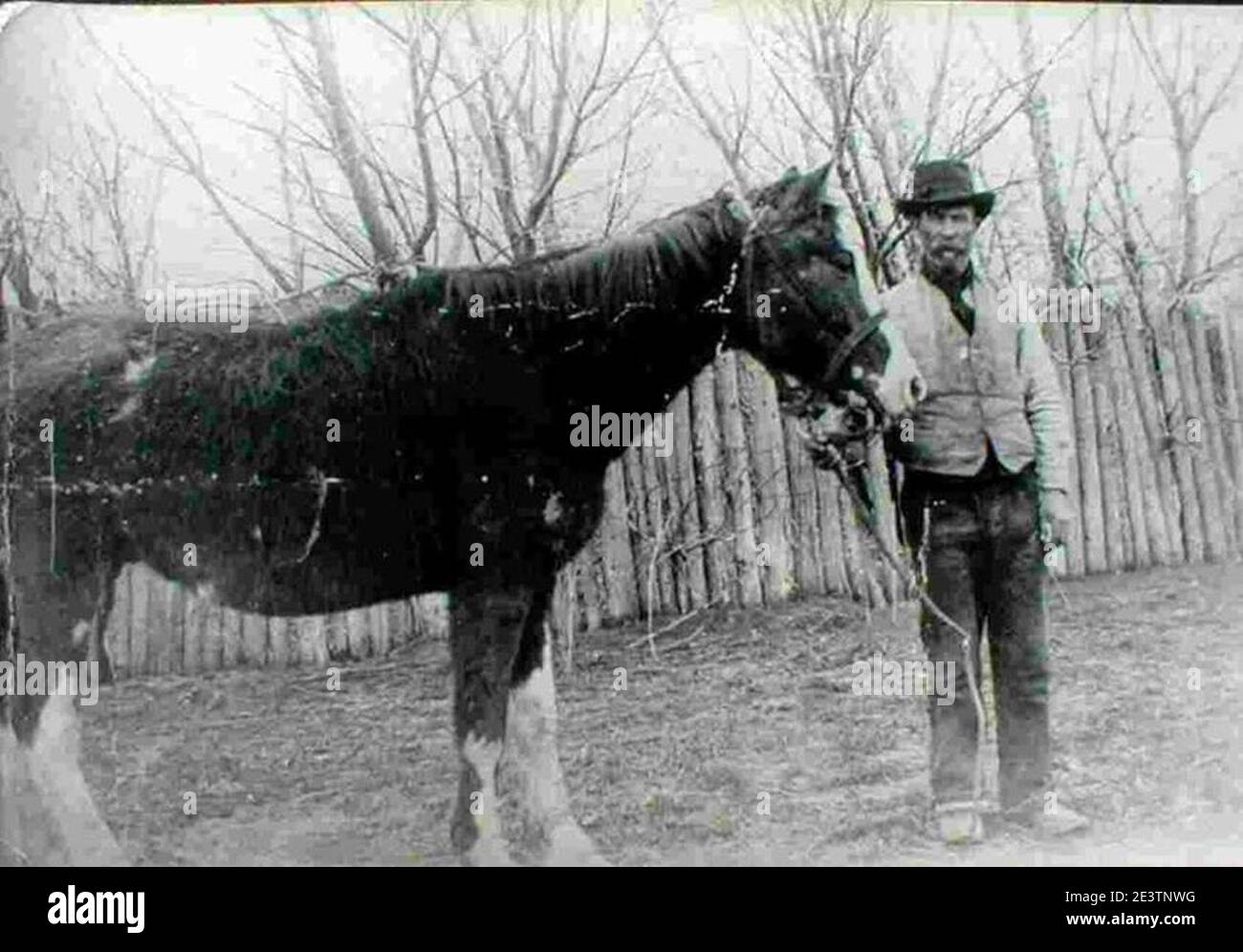 Malacara caballo y John Daniel Evans (1906). Foto de stock