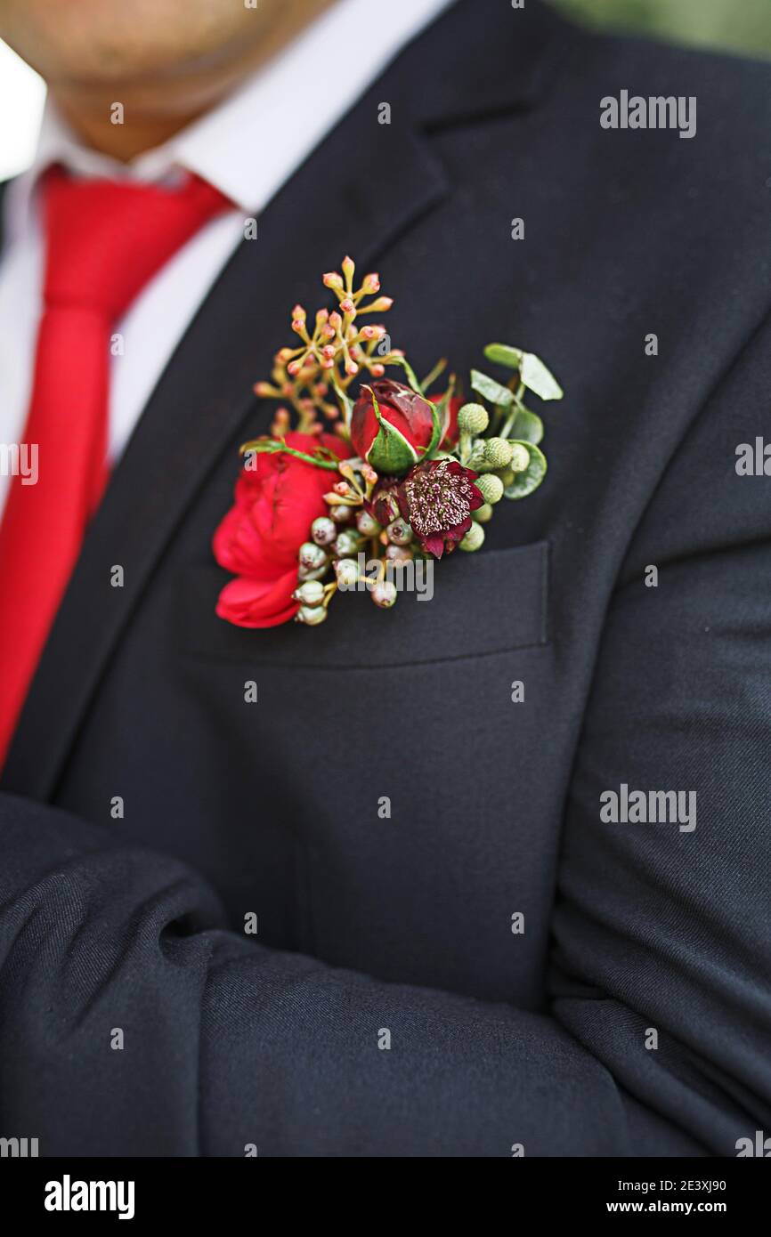 El novio de la boda boutonniere de suculentos y flores rojas en una  chaqueta negra con una corbata roja. Decoración festiva, flores, atuendo  para el regista del matrimonio Fotografía de stock -