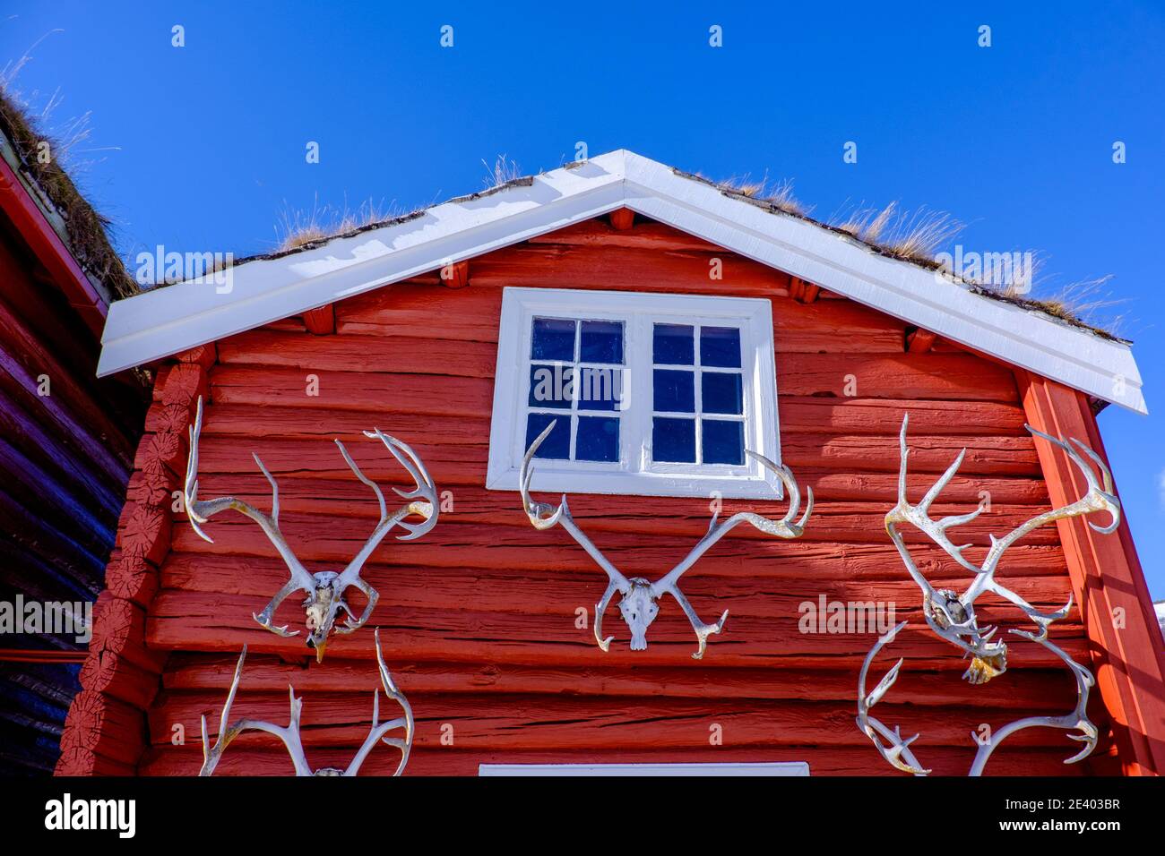 Cornamentas en un edificio tradicional noruego de granja Foto de stock
