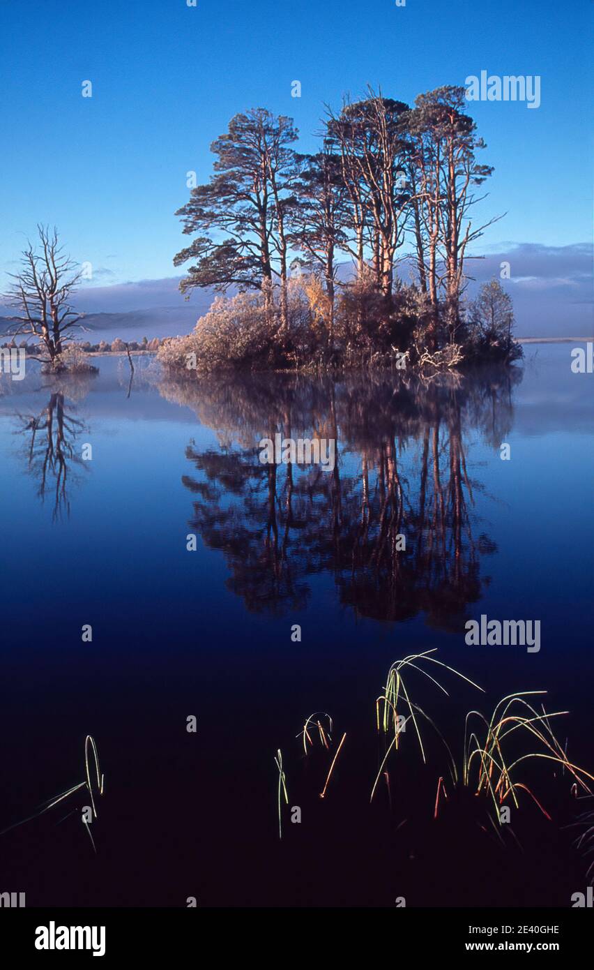 Reflexiones sobre el lago Mallachie Foto de stock