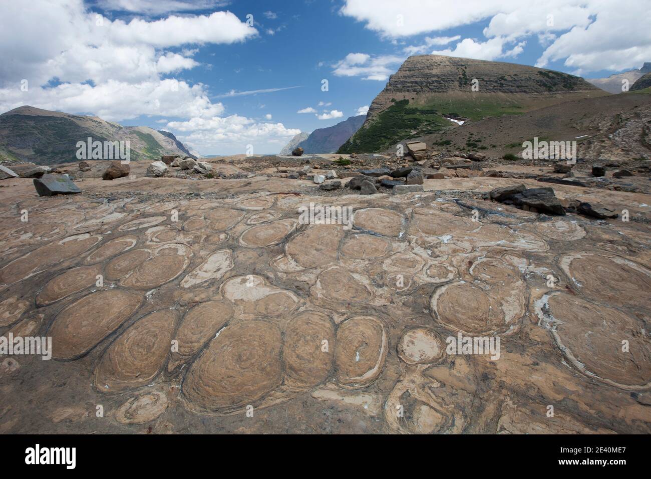 Estromatolitas proterozoicas en Dolomita Helena, Montana. Observe las estrías glaciales Foto de stock