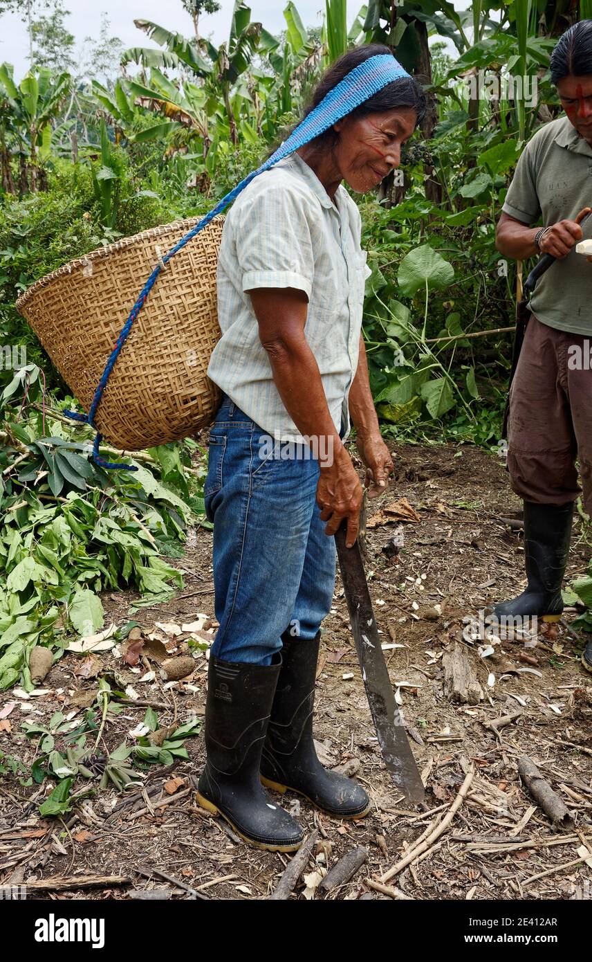 Mujer llevando cesta, correa tejida en la cabeza; machete; tribu amazónica indígena; gotas de transpiración facial, caliente, húmedo, botas altas de goma, río Napo, así Foto de stock