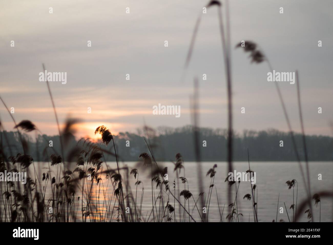 Sonnenaufgang über einem Herbstsee Foto de stock