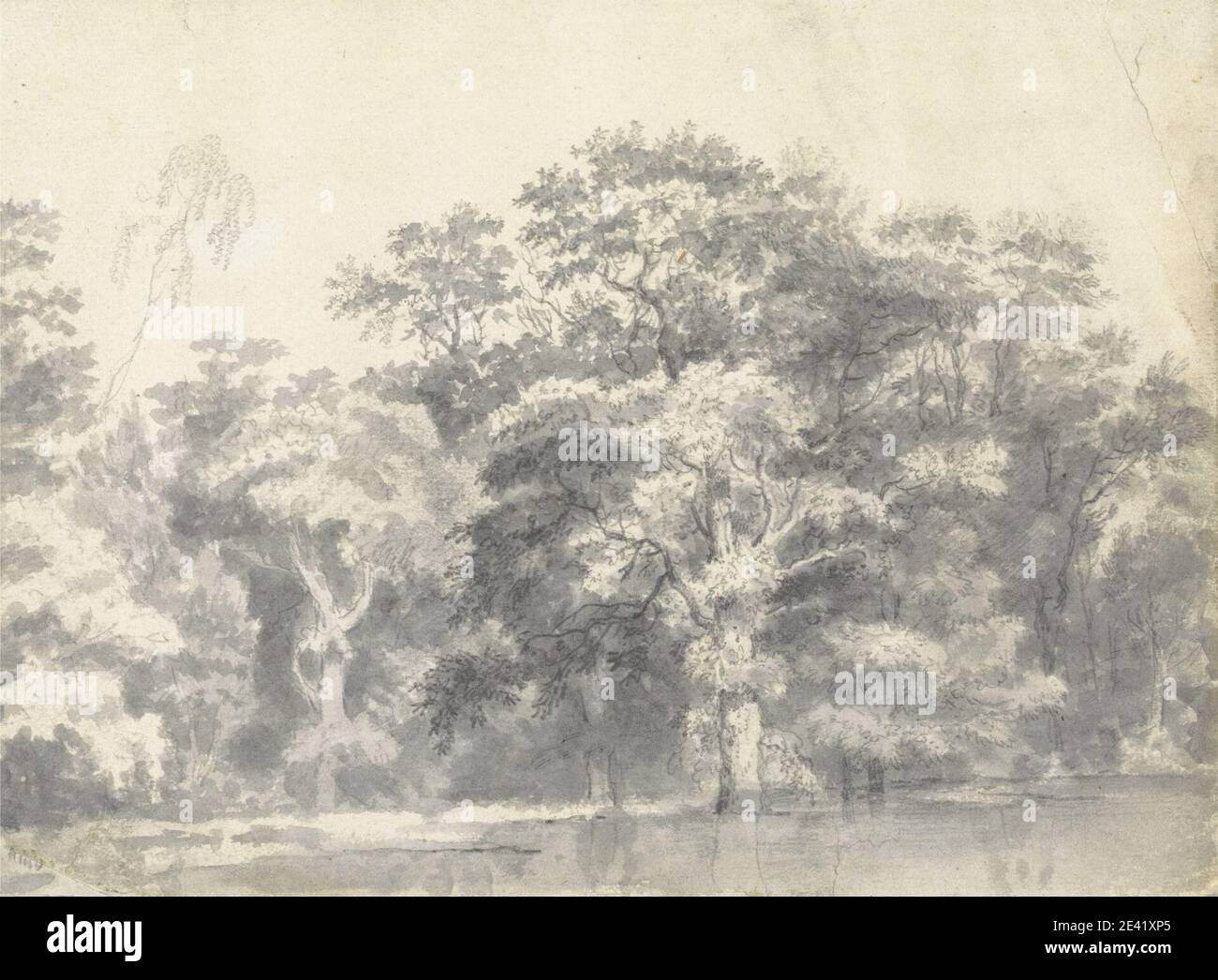 Thomas Wyck, (?), 1616-1677, holandés, árboles en la orilla del río, sin fecha. Lavado gris con grafito en papel medio, ligeramente texturizado, crema puesta montado en papel medio, ligeramente texturado crema mover. Paisaje, orilla del río, árboles Foto de stock