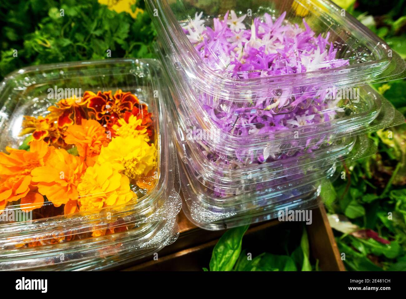 Flores comestibles venta en el mercado en caja de plástico Foto de stock