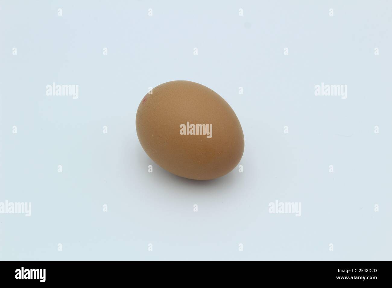 Un solo huevo de gallina marrón moteado en una llanura blanca fondo acostado en su lado Foto de stock