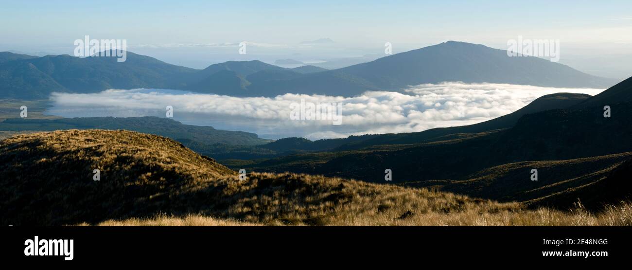 Niebla de la mañana sobre el lago Rotoaira, el Parque Nacional de Tongariro, Isla del Norte, Nueva Zelanda Foto de stock
