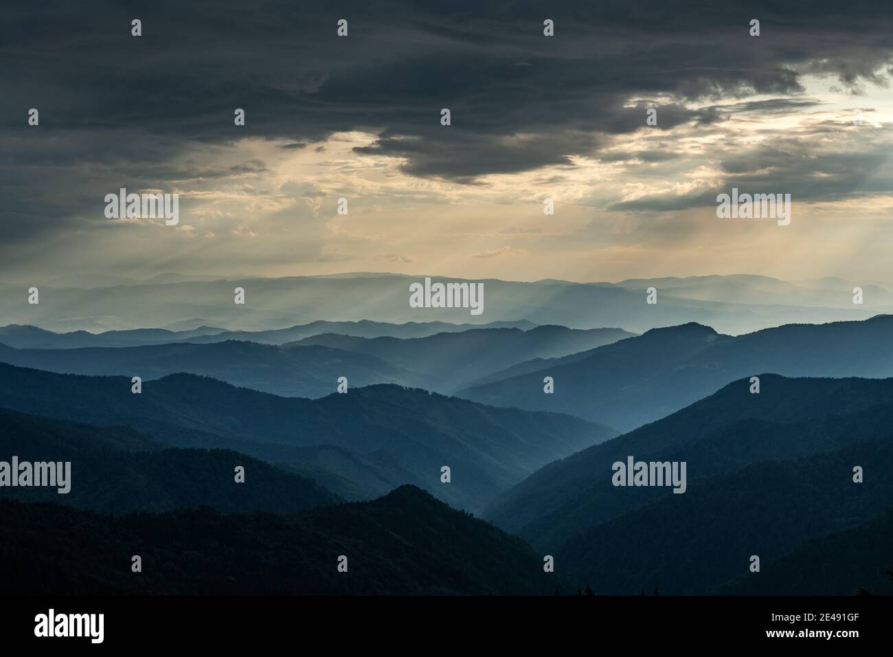 Niebla matutina en las montañas de primavera. Hermoso amanecer de fondo. Fotografía de paisajes Foto de stock