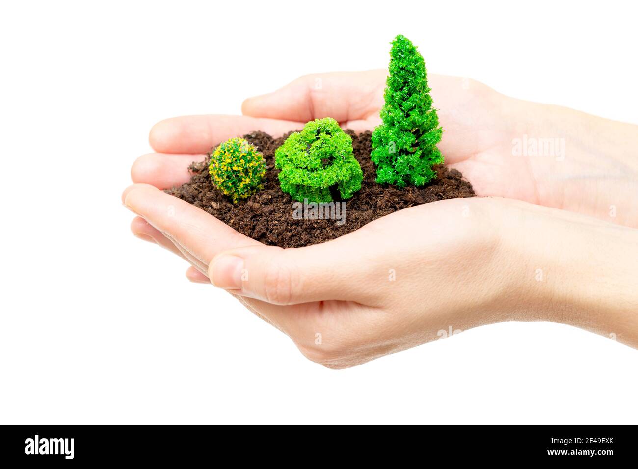 Las manos femeninas sostienen el suelo con árboles de plástico de juguete. Concepto de cuidado forestal. Foto de stock